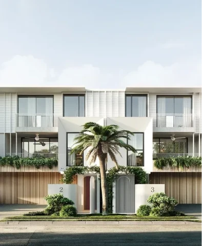 Modern townhouse with palm tree